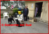 Antonio Caputo con i suoi cani