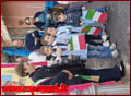 Capistrano, Onore ai Caduti in guerra - Anno 2013