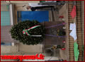Capistrano, Onore ai Caduti in guerra - Anno 2013