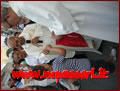Briatico (VV) festeggia la Madonna del Carmine - 16/07/2012