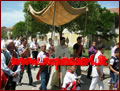 10/06/2012 - Papaglionti (VV) festeggia il Corpus Domini