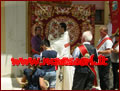 10/06/2012 - Papaglionti (VV) festeggia il Corpus Domini