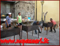 Sagra Capistranese - Capistrano 13/08/2012