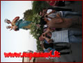 Zammarò (VV) festeggia la Madonna delle Grazie - 02/07/2012