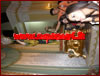 Capistrano - Processione di San Rocco - anno 2011