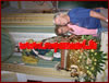 Capistrano - Processione di San Rocco - anno 2011