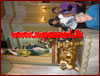 Capistrano - Processione di San Rocco - anno 2011
