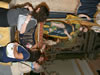 Capistrano - Processione di San Rocco 2010
