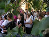 Nicastrello ( Casaliaju ) - Processione di Sant ' Elena - 2010